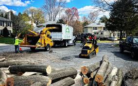 Mulching Services in Vestavia Hills, AL