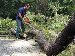 Best Tree Risk Assessment  in Vestavia Hills, AL