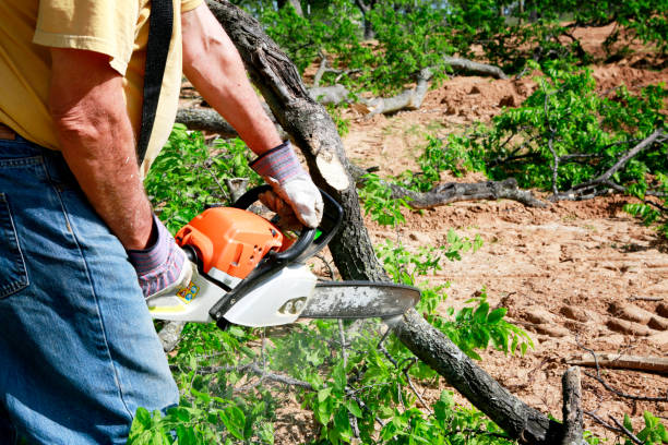 Best Firewood Processing and Delivery  in Vestavia Hills, AL